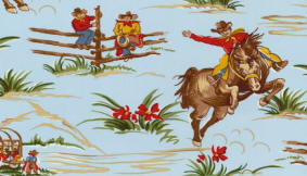 Home on the Range